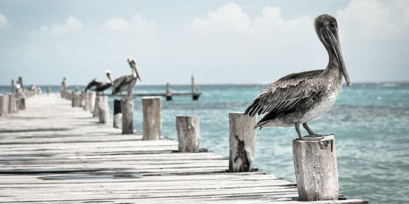 CodeQL 2.26.3：Actions污点边界变了