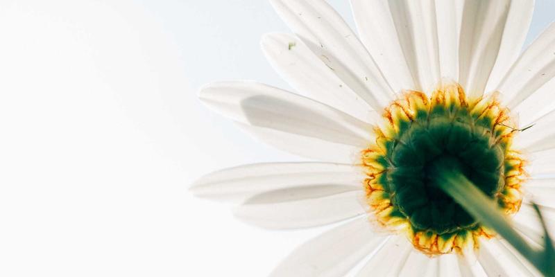 React 19与Vue 3.5下从Props钻取到Zustand/Pinia：迁移实录与性能对比