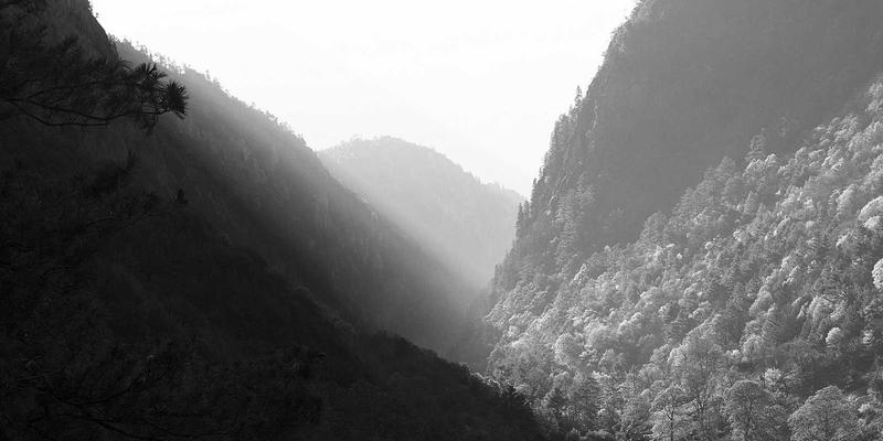 React 18 与 Vue 3 项目从 Context/Props 迁移到 Zustand 和 Pinia 的状态管理实践