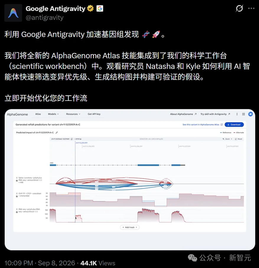 刚刚,谷歌DeepMind破解人类生命天书!90亿种基因突变全部算穿