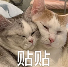 不是吧OpenAI首款硬件吹半天就是个AI音箱？？