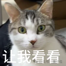超越π0,中国团队用1B参数模型登顶具身智能榜单