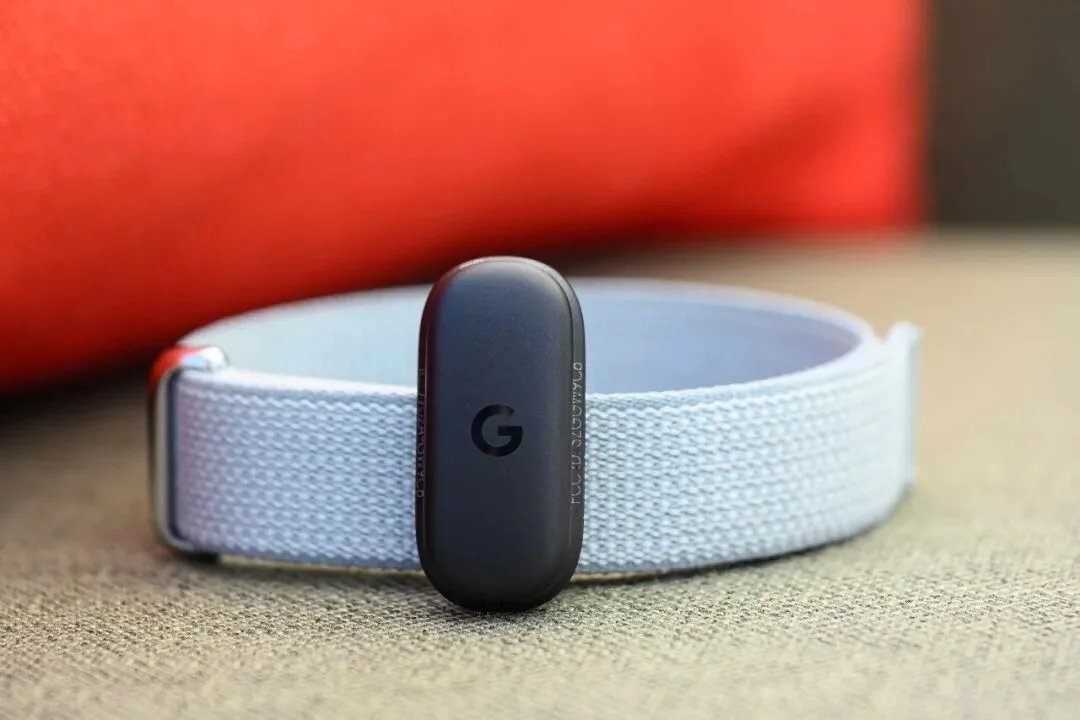 Fitbit Air 手环深度体验：「无屏」只是手段，模型能力才是护城河