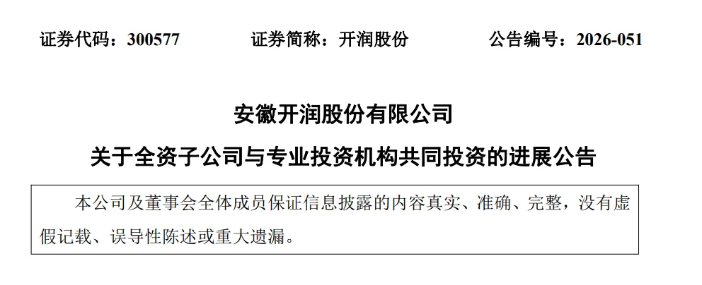 DeepSeek估值,被一家安徽箱包公司给全部暴露了