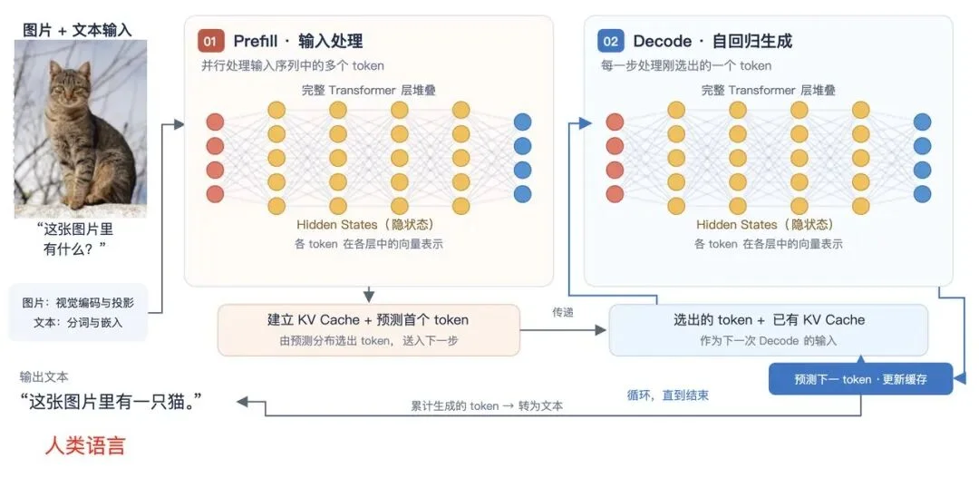 独家｜撬开Jev黑箱，对话全球首批复现者：9B小模型跑通79毫秒“快决策”