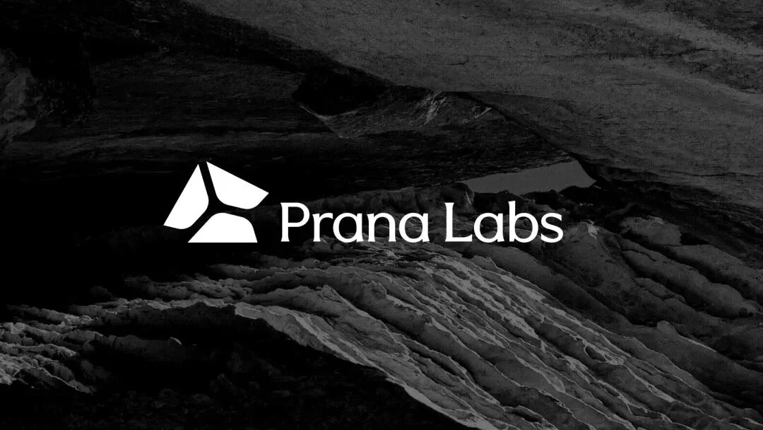 独家|多模态通用智能公司Prana Labs完成近千万美金种子轮融资