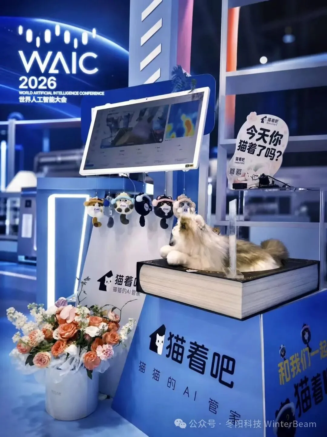 用AI读懂每只猫丨冬阳科技完成种子轮融资, AI 猫窝首秀 WAIC