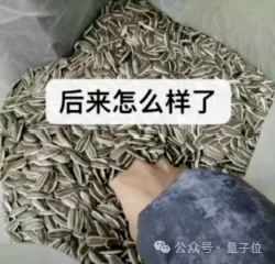 OpenAI这是拿千禧年难题当Benchmark刷啊。。。