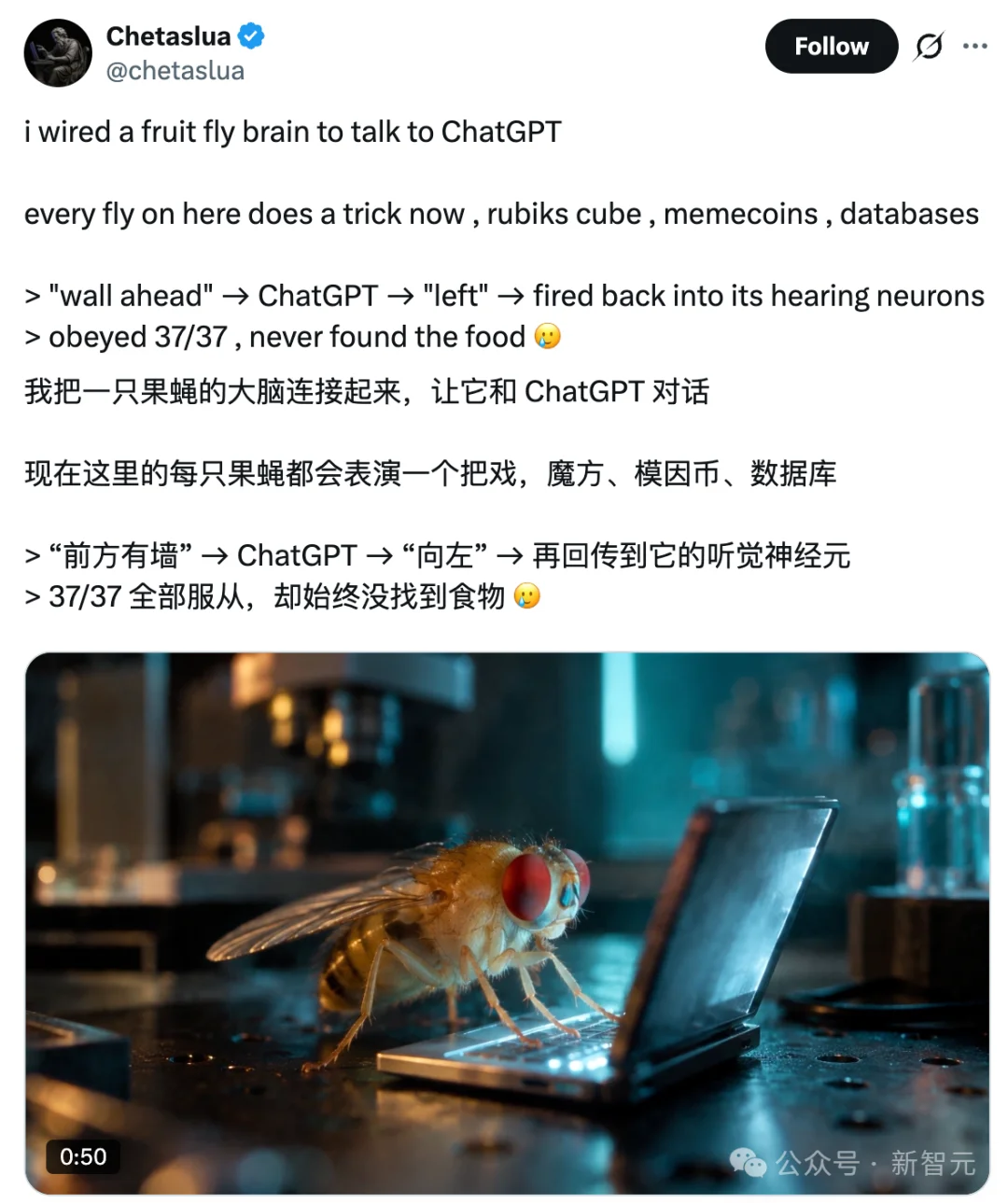 震撼!果蝇大脑成功接上了ChatGPT