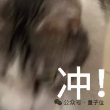 魔幻灵巧手:半年200亿热钱,3大路线,贵到几十万一只